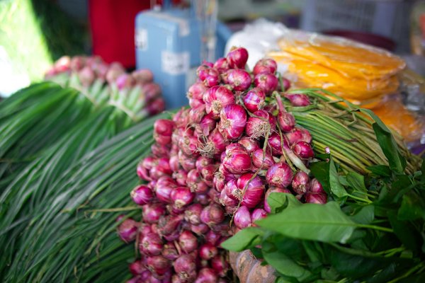 Glaçon à paris : la fraîcheur livrée à toute heure